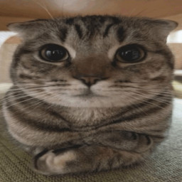 Uzer Avatar